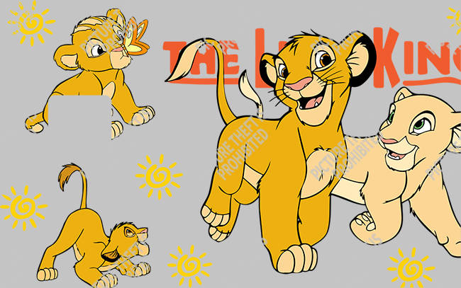 Bank  Card Sticker-BC-916